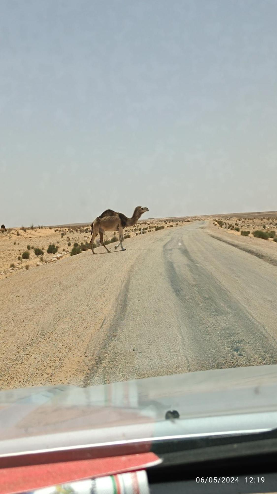 Dar Lagune Djerba Vue De Mer Al Haddadah Экстерьер фото