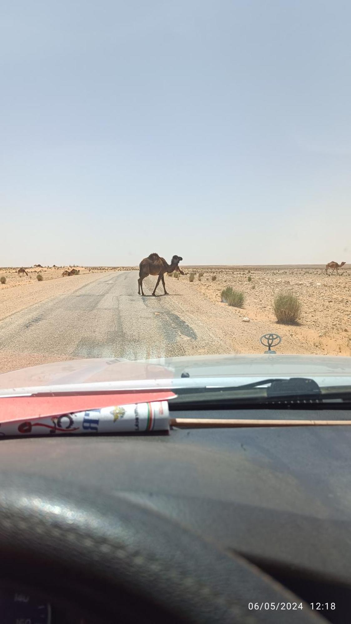 Dar Lagune Djerba Vue De Mer Al Haddadah Экстерьер фото