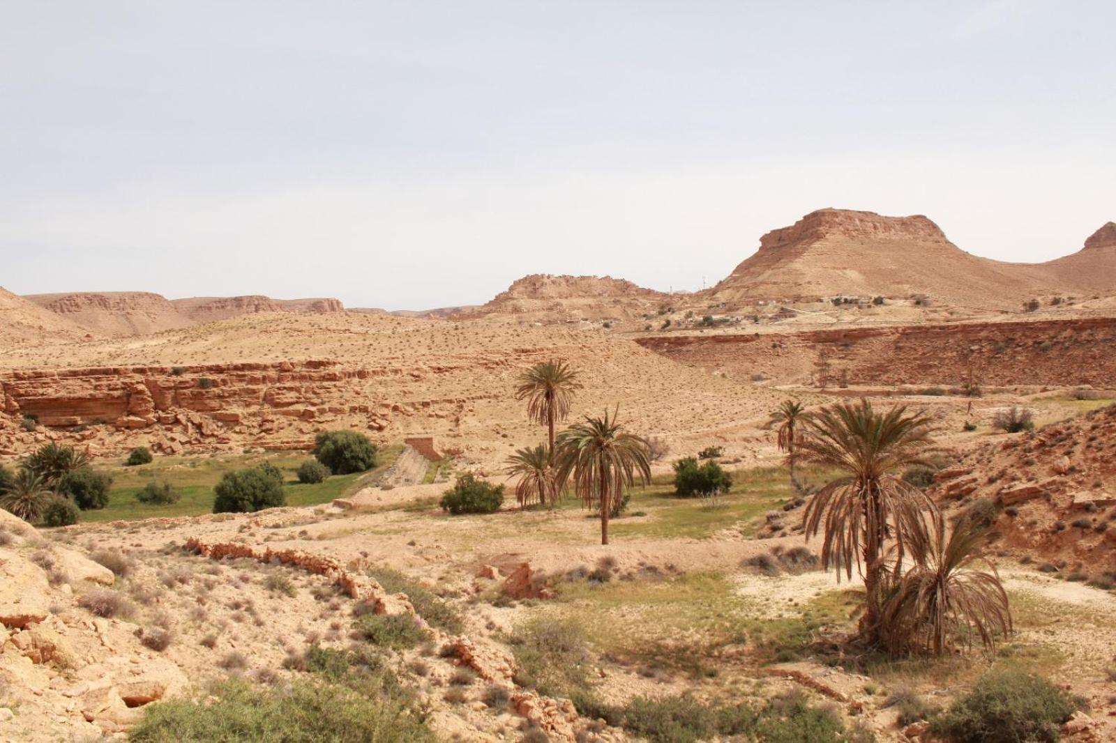 Dar Lagune Djerba Vue De Mer Al Haddadah Экстерьер фото
