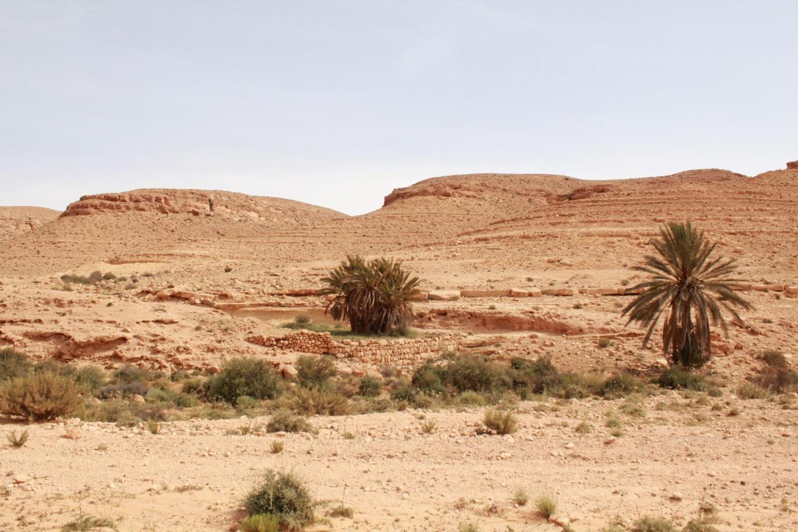 Dar Lagune Djerba Vue De Mer Al Haddadah Экстерьер фото