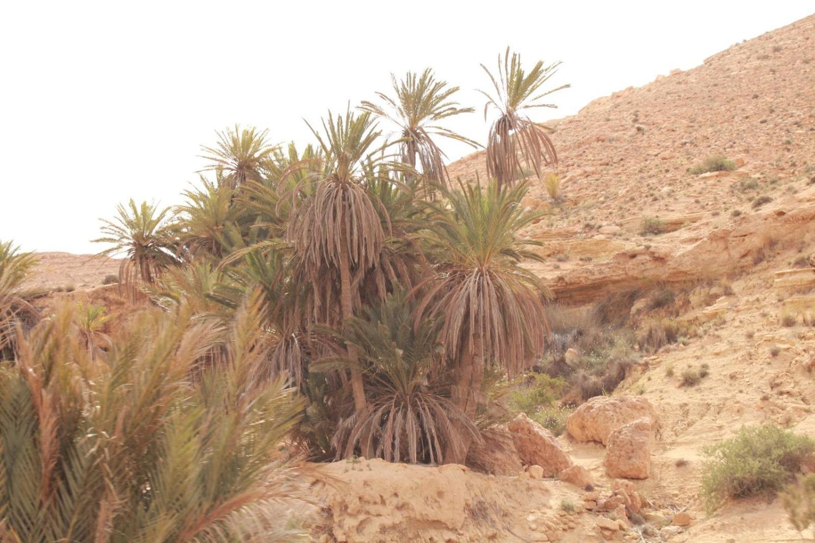Dar Lagune Djerba Vue De Mer Al Haddadah Экстерьер фото
